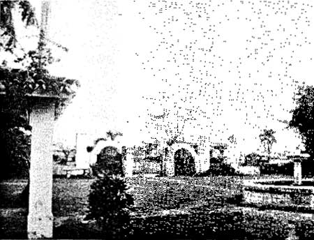 garden