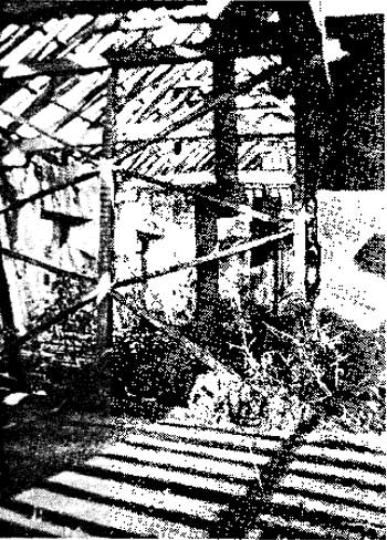 Torres house