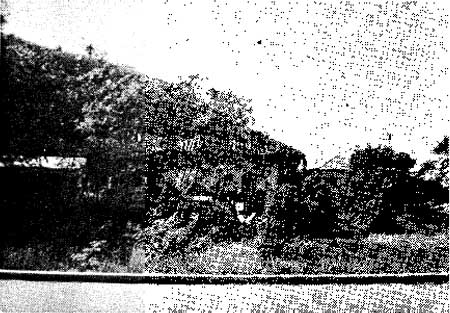 Torres h.jpg