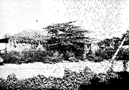 Torres house