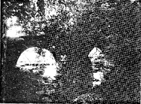 stone bridge