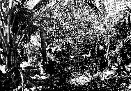 ruins