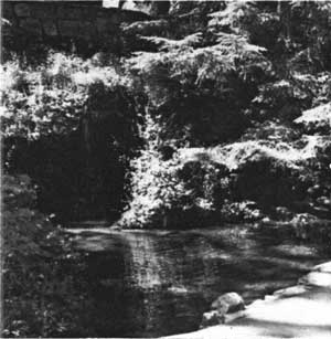 waterfall and pond