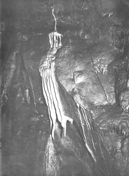 drapery