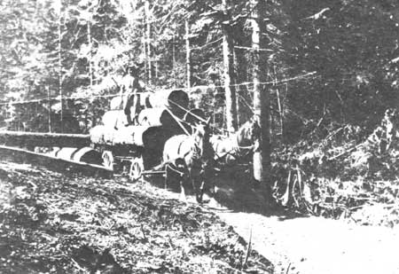 logging