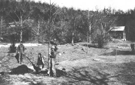 CCC workers planting trees