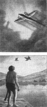 flight