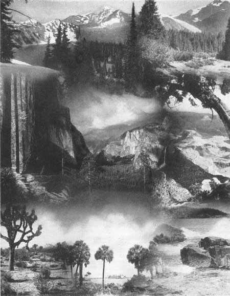 mosaic of images from scenic parks