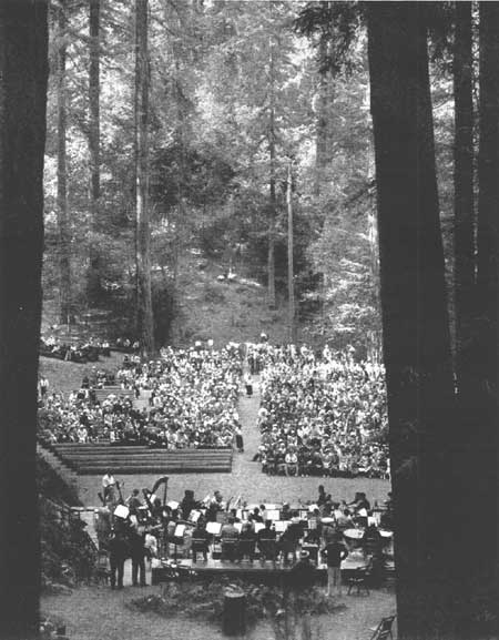 concern in the
park