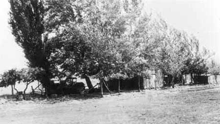 Custodian Leonard Heaton's stables and poultry
sheds