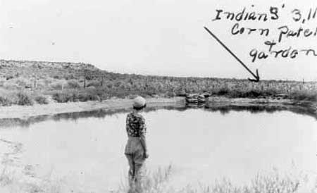 Indian pond/reservoir