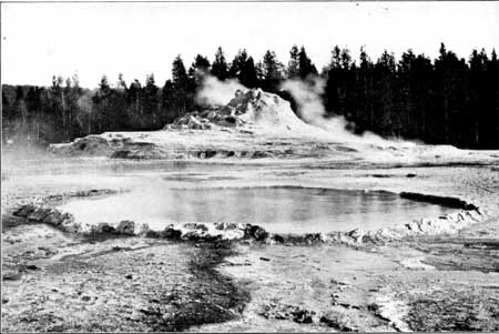 Crested Pool