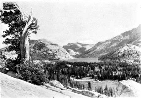 Tenaya Lake