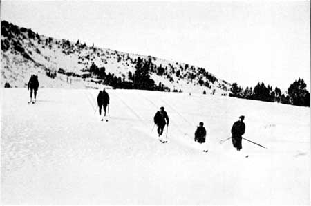 skiers