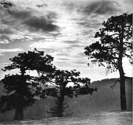 Marble Fork Canyon