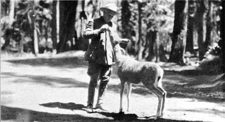 Judge Walter Fry with deer
