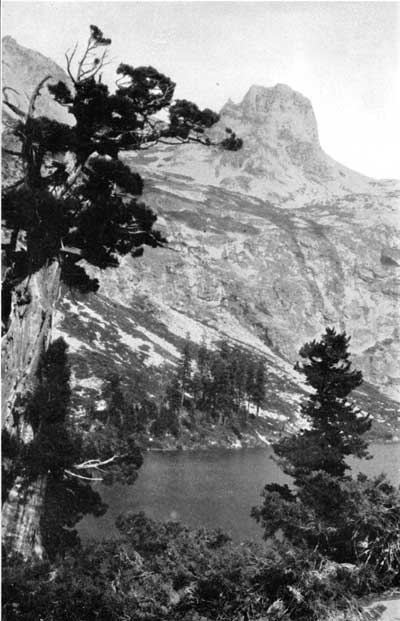 Hamilton LAke