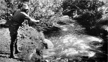 creek