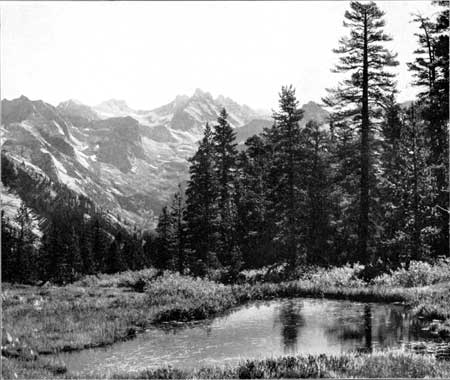 Alta Meadows