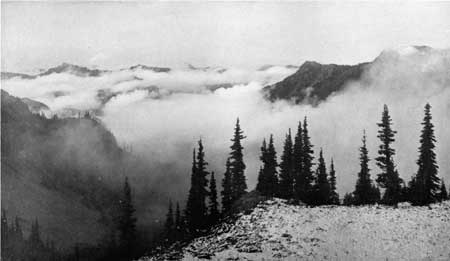 fog-shrouded mountain peaks