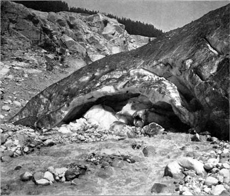 Nisqually Glacier