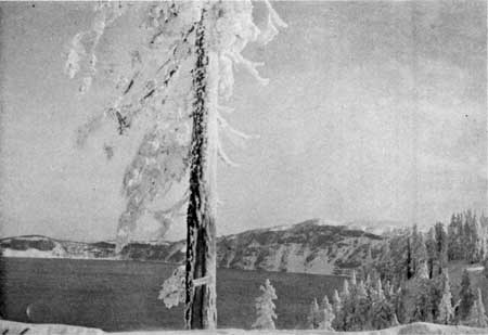 snow-covered landscape