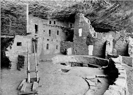 Spruce Tree House
