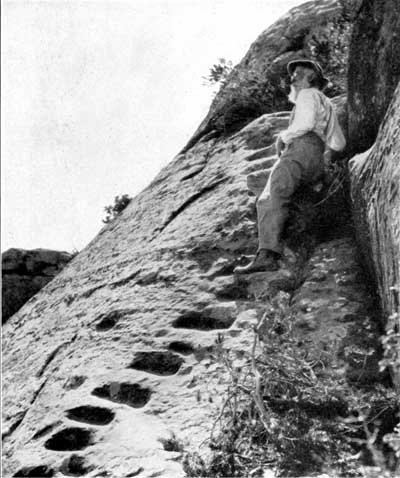 trail to Balcony House