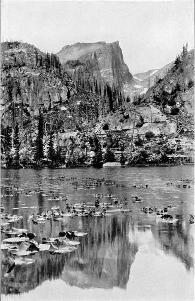 Nymph Lake and Hallett Peak