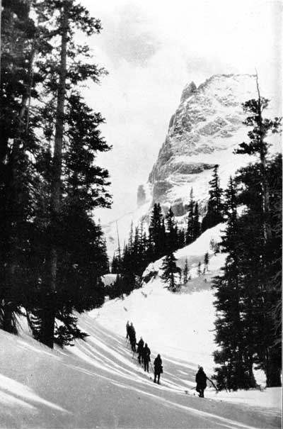 skiers