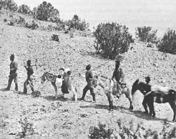prospectors