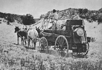 chuckwagon