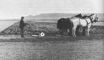 plowing field
