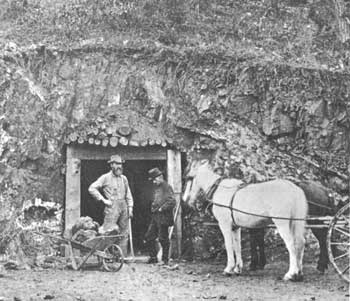 Grant Tunnel