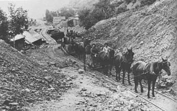 miners