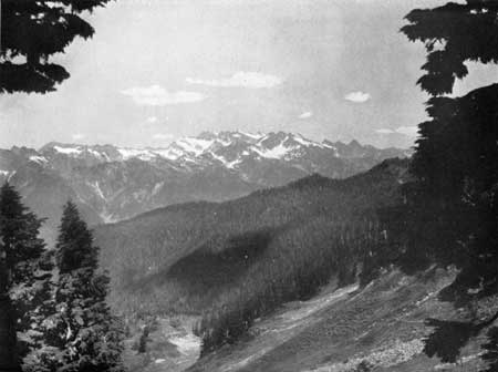 Olympic Mountains