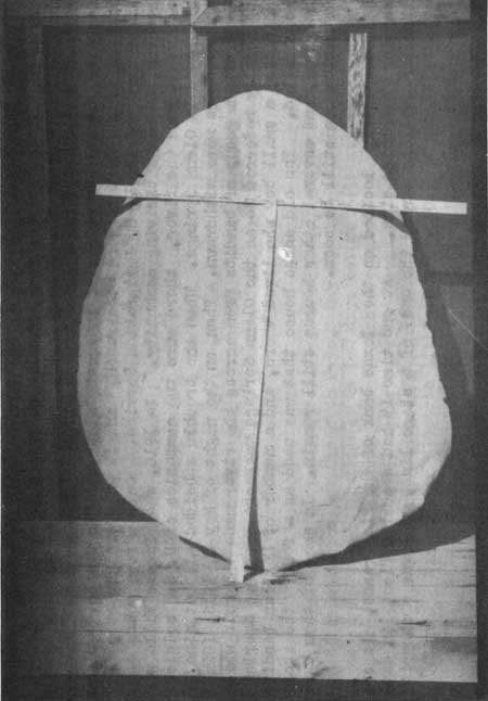 giant petrified clam