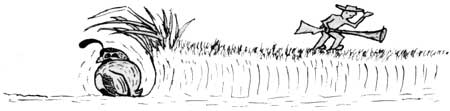 cartoon sketch of quail