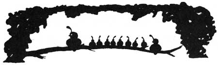 cartoon sketch of quail