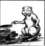 sketch of beaver