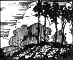 sketch of forests and clouds