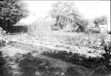 Wick House garden