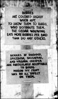 trail signs