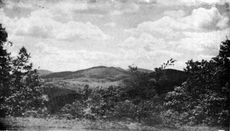 view along Skyline Drive