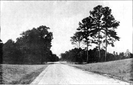 section of Natchez Trace