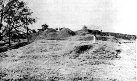 same slope revegetated appearing 'natural'