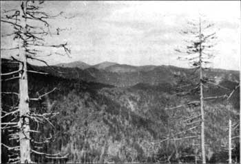 view from Appalachian Trail