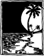 sketch of palm tree with moon casting
shadow on water
