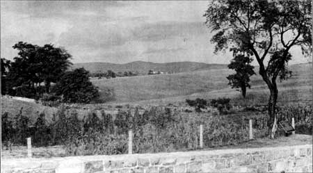 hills