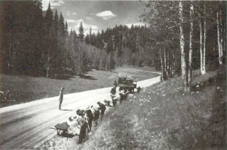 road in Grand Canyon NP